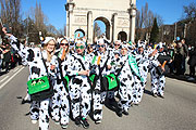 St. Patricks Day Parade 2017 (©Foto: Martin Schmitz)